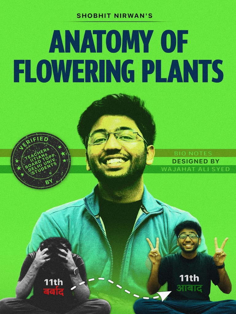 Anatomy of flowering plants shobhit nirwan pdf tissue biology