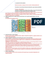 07 Cuestionario de Nutrición