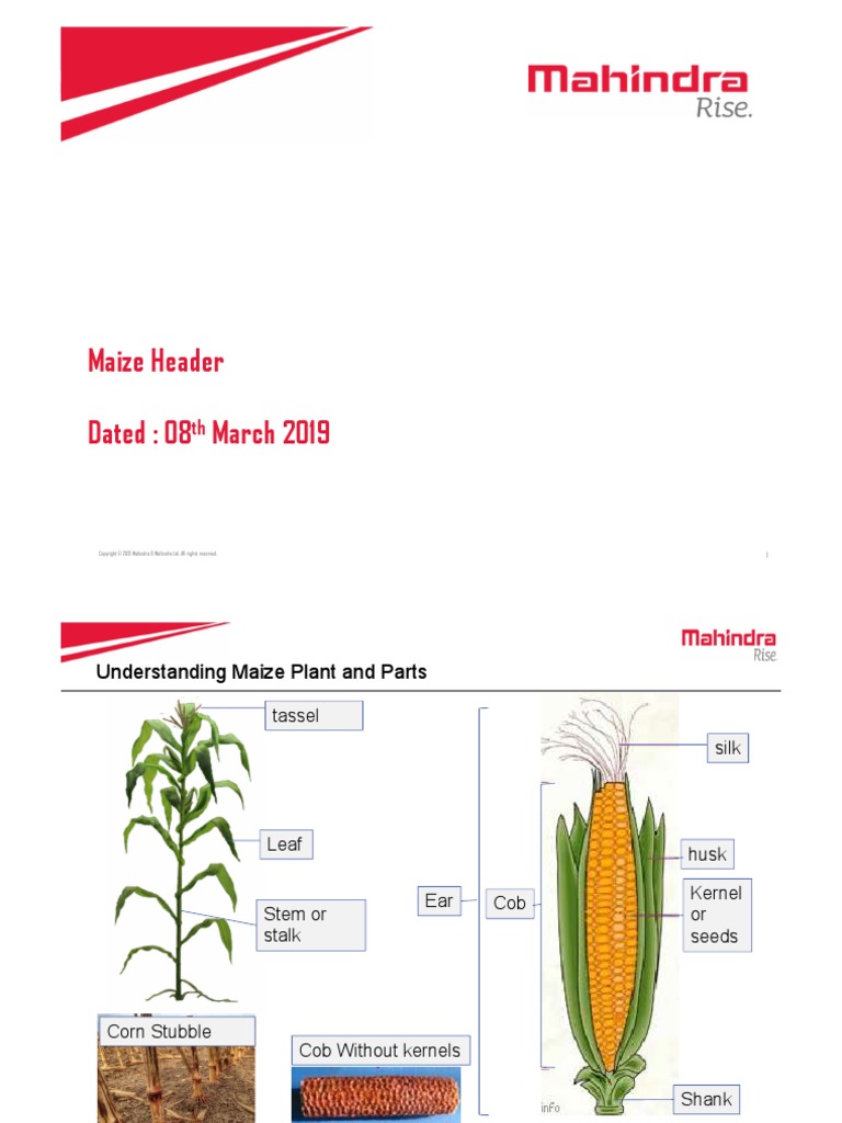 Maize Header Product USP Presentation PDF Maize Knife