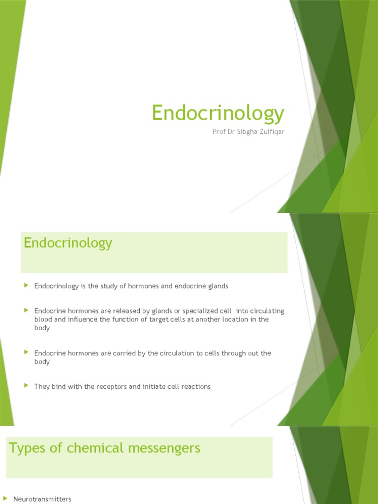 Endocrinology PDF Hormone Cortisol