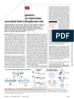 Neuron Specific Signatures in Schizophrenia