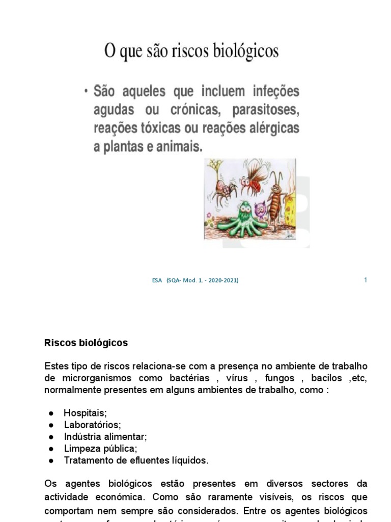 Riscos Biológicos no Ambiente de Trabalho | PDF | Fatores humanos e ...