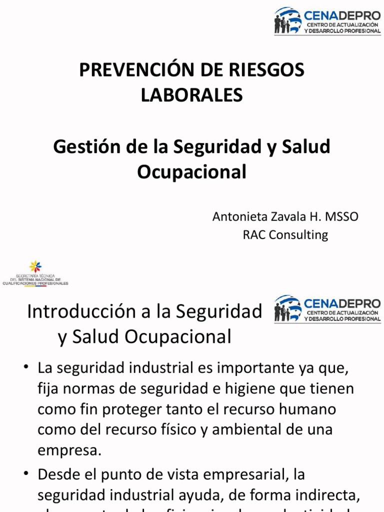 Prevención de Riesgos Laborales | PDF | Seguridad y salud ocupacional ...