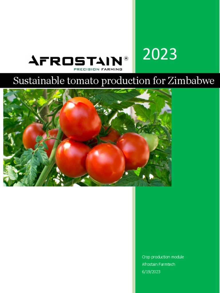Sustainable tomato production for Zimbabwe PDF Tomato Soil