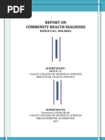 Report On Community Health Diagnosis