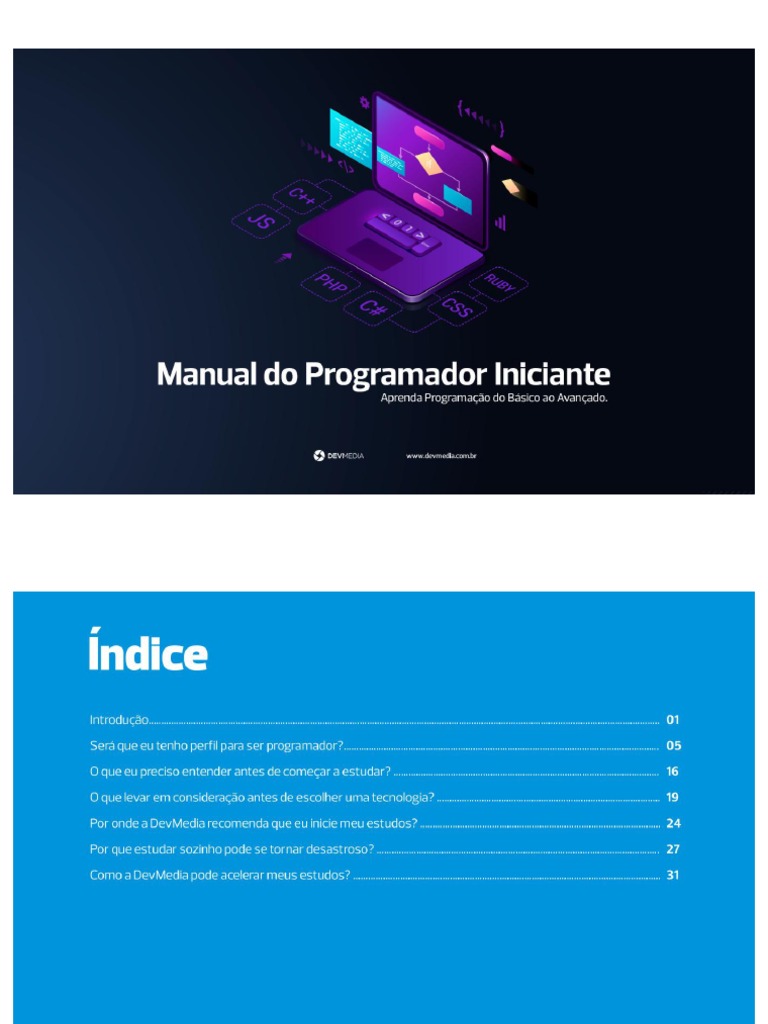 Manual Do Programador Iniciante | PDF