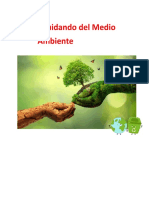 Proyecto Del Medio Ambiente (Mia Michell)