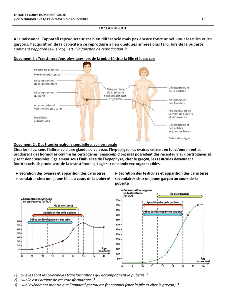 Transformations de la puberté en CM2 | PDF | Système reproducteur | Puberté