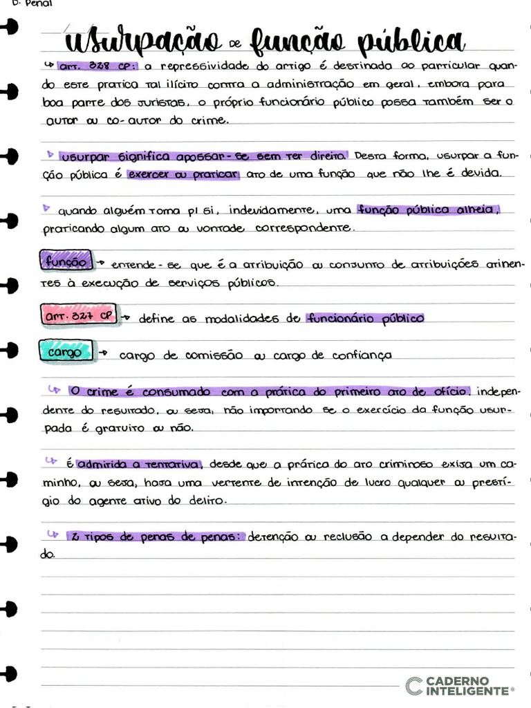Direito Penal Usurpação Da Função Pública PDF