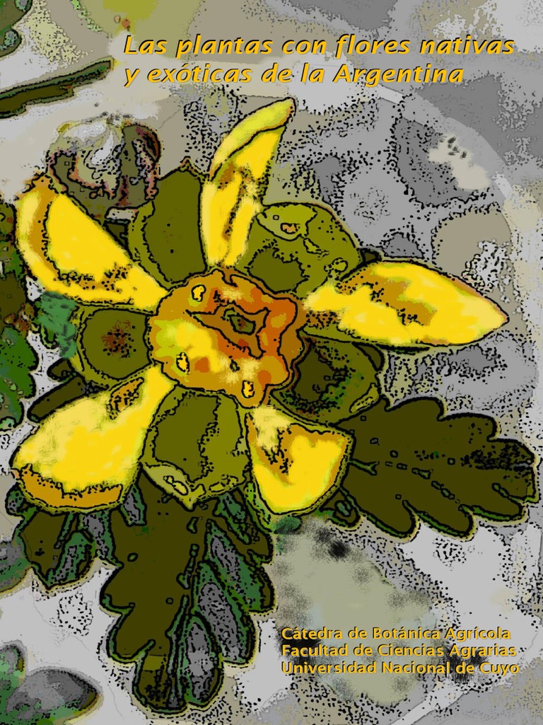 QUE SON LAS PLANTAS NATIVAS intelligence overview