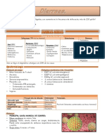 20 - Diarreas (Apunte Lautaro)