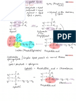 SF2-Lecture-03 Biomolecules Notes