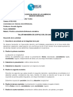 Planes de Cuidado RN, Puerpera, Paciente Con Actividad Uterina, Taller Maniobra de Lepold