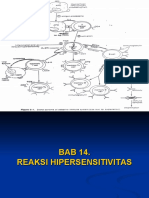 14 Bab Xiv Reaksi Hipersensitivitas