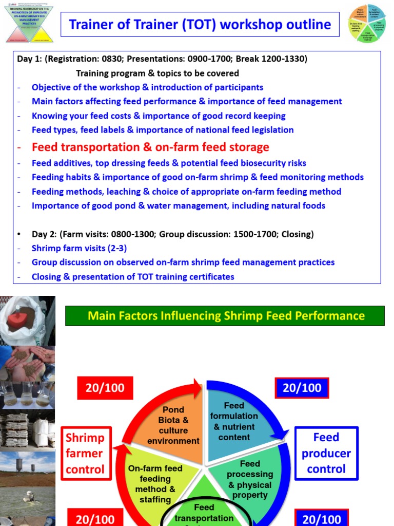 TOTt PDF Shelf Life Vitamin