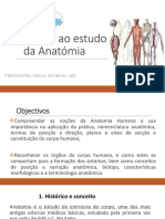 Introdução A Anatomia