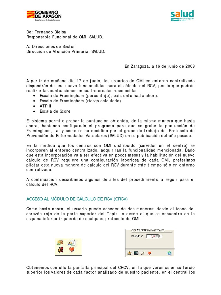 Nueva Funcionalidad de Cálculo RCV | PDF | Especialidades Medicas ...