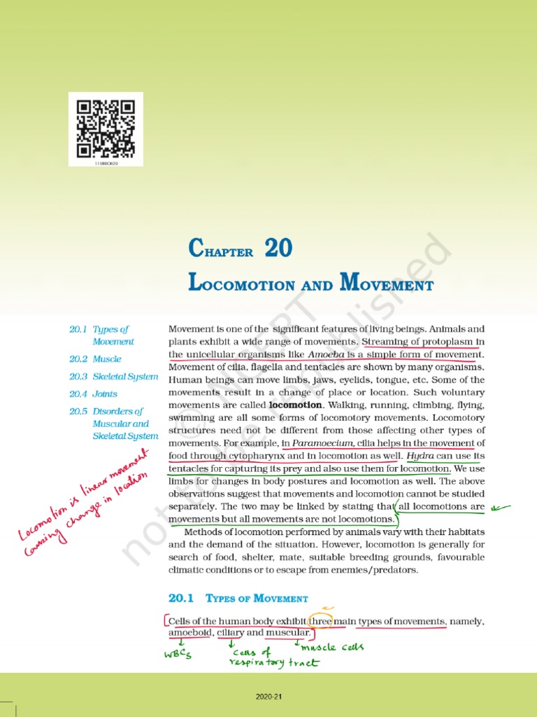Locomotion Movement Ncert Underlined 1 Pdf