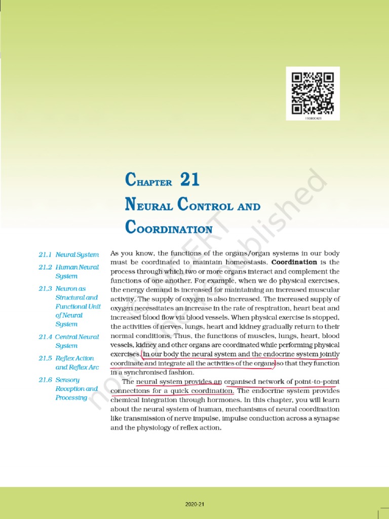 neural-control-coordination-ncert-underlined-1-pdf