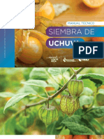 Manual de Siembra Uchuva