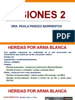 3.1. - Lesiones 2