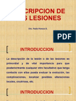 Descripcion de Las Lesiones