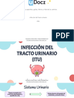 Infeccion-Del-Tracto Urinario