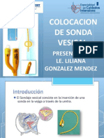 Sonda Vesical - Liliana Gonzalez Mendez