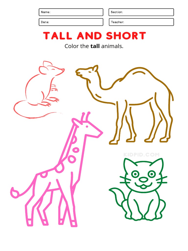 Tall & Short Worksheets For Preschool | PDF