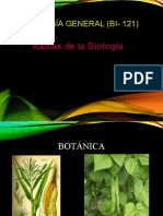 Ramas de La Biologìa