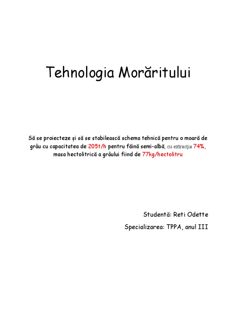 Proiect Morarit | PDF