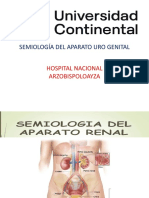 Semiología 24 Renal