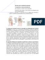 Resumen Sobre Los Mecanismos de La Respiración Pulmonar