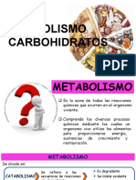 T10 Clase Teorica N10 Metabolismode Carbohidratos