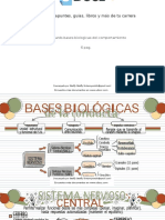 Flashcards Bases