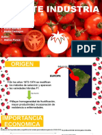Cultivo de Tomate Industria Matias Ponce 2022
