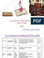 Constitución Politica 93