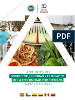 Libro Sobrepeso Obesidad y El Impacto de La Enfermedad Por Covid 19 en Paises Andinos