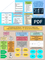 Organizador Visual Rodrigo Coarite 2022-106003 Daruma Rivera 2022-106036