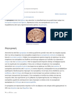 Εγκέφαλος - Βικιπαίδεια