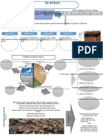 Infografia Del Libro