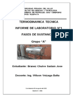 Informe de Laboratorio-Fases de Sustancia