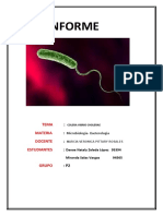 Informe 1 Microbiologia I