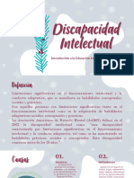 Discapacidad Intelectual