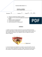 Anatomia 6