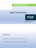 HANDOUT Signal Transduction