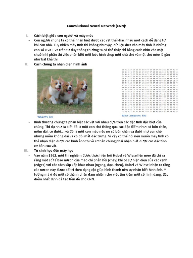 Convolutional Neural Network | PDF