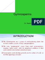 5 2 Gymnosperms