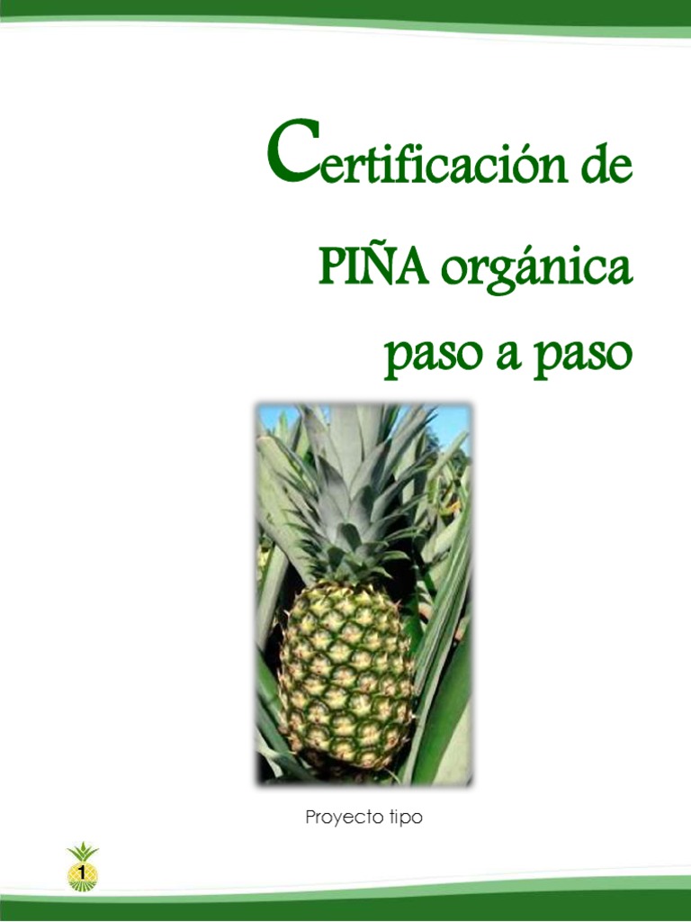 Procedimiento de Adopción de La Producción de Piña Orgánica Md2 Con ...