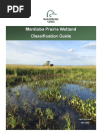 Manitoba Wetland Plants